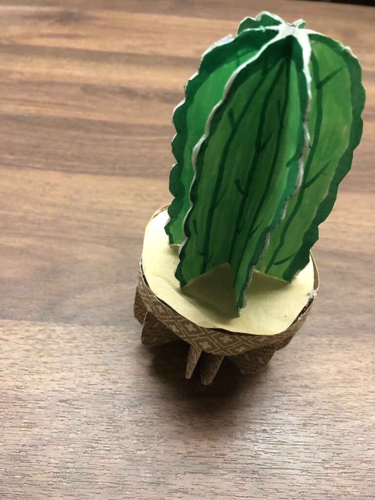 Boules3D Cactus