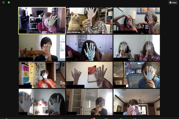 Zoom session to create an articulated hand