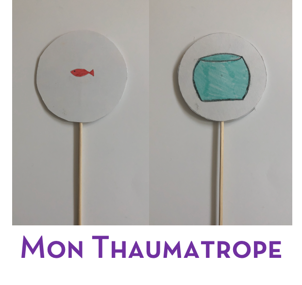 A picture of two different images with the words mon thaumatrope