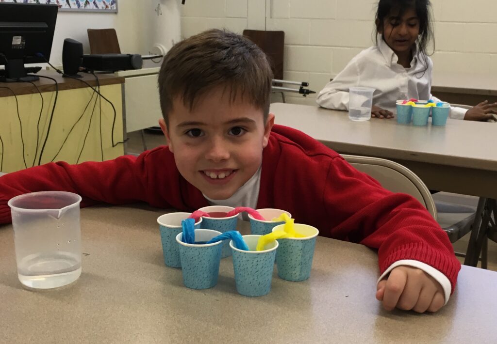 A boy sitting at the table with cups of water.