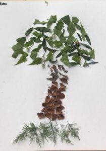 A tree made of leaves and rocks on paper.