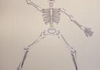 A drawing of a skeleton with one arm raised.